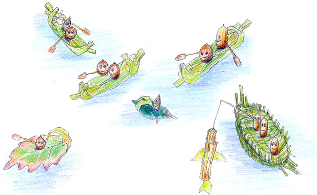 どんぐりたちの航海