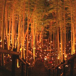 小机城址市民の森の竹灯篭まつり